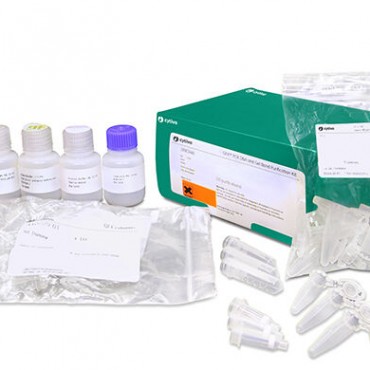 illustra GFX PCR DNA and Gel Band Purification Kits