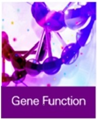 Gene Fanction